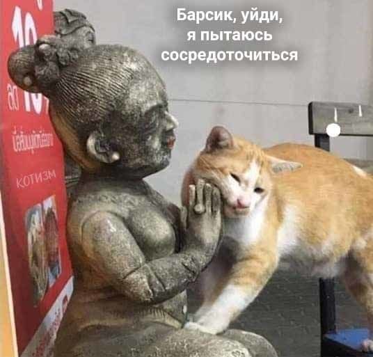   ,       - 2