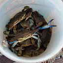 ���� �������, ������ ��������, 54 ���� - ��������� 4 ������� 2020 � ������ ������ 2019�