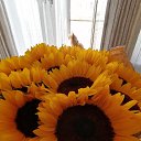 ���� �������, ������, 49 ��� - ��������� 3 ������� 2020 � ������ ���� ����������