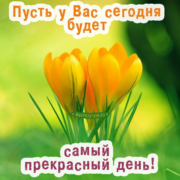   ,    . - 12  2021  12:02 - 3