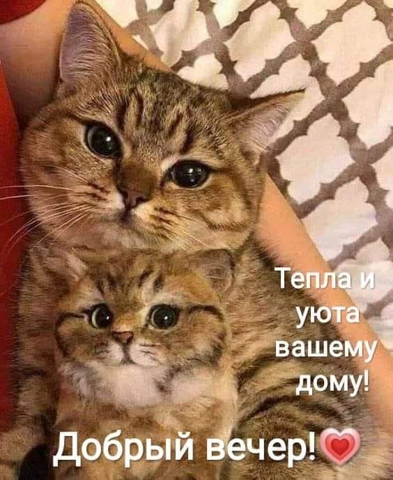   ,    . - 11  2020  16:54 - 4