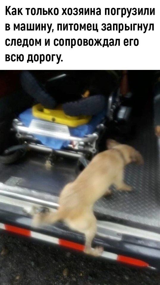    ..... - 3