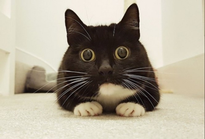 -      ?     !     ,    ... - 2
