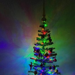 �������, �����������, 38 ���