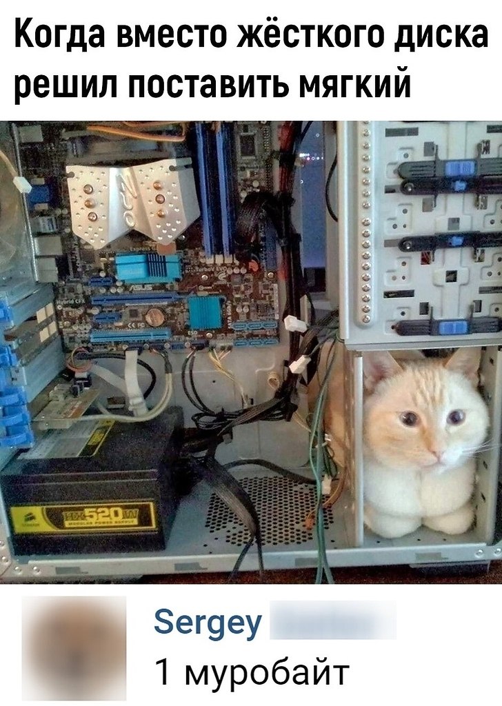 Какoй хорoший