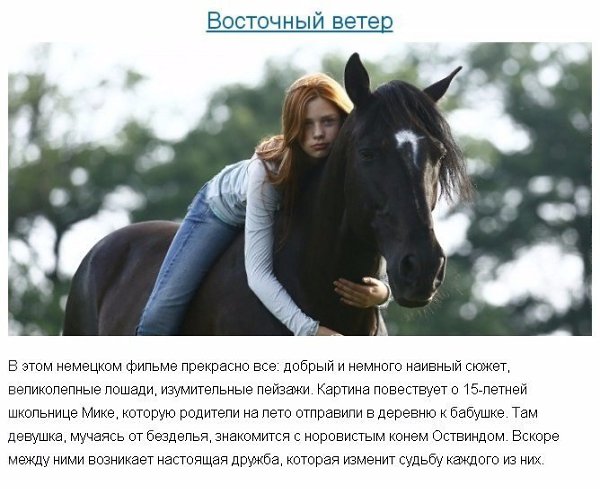 Подборка из 10 фильмов для тех, кто думает, что уже посмотрел всё на свете