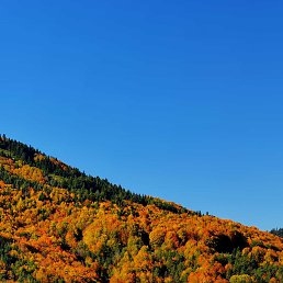 �����, �������, 48 ���