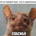 ���� �����, ������, 41 ��� - ��������� 5 �������� 2020