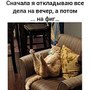 ���� ���������, ������ - ��������� 9 ������� 2020 � ������ ���� ����������