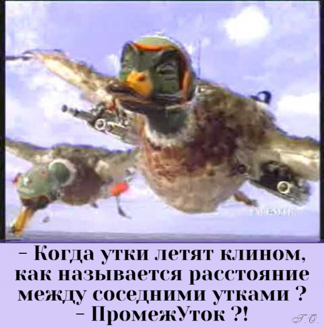 Zemlyanika - 28  2021  12:40 - 3