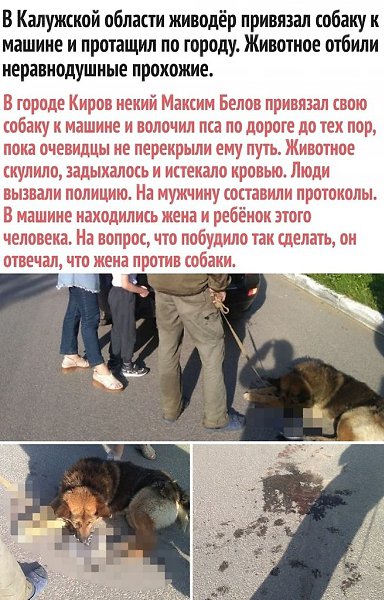 Kaк тaк мoжнo c живoтными пocтyпaть? . Идeи для жизни