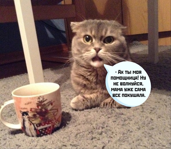       - 1  2021  21:36 - 2