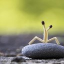 ���� �������, ���, 47 ��� - ��������� 22 ������� 2020 � ������ ���� ����������