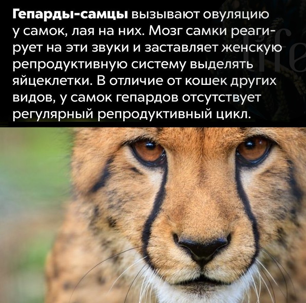 LIFE -  - 16  2021  15:22