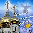 ���� L E D I, �������, 53 ���� - ��������� 14 ����� 2021 � ������ ������ ��������