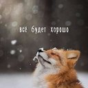  ,  -  18  2021
