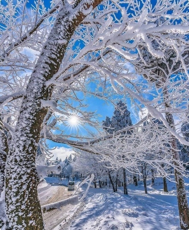 суровая зима. многолетняя мерзлота в арктике. вечные морозы. зимний пейзаж. якуб розальски 1410.