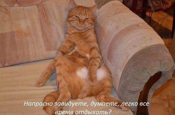    - 24  2020  23:47