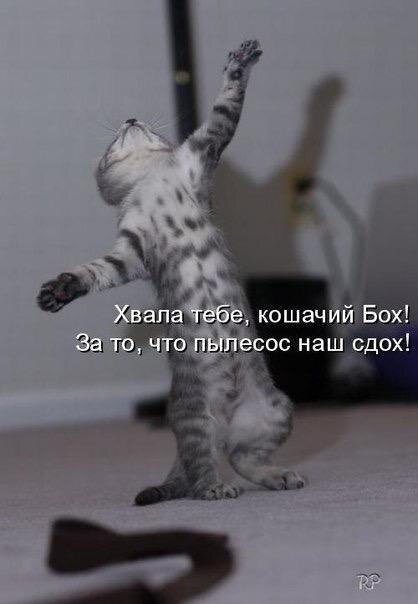    - 21  2021  11:37
