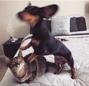    ,     :
