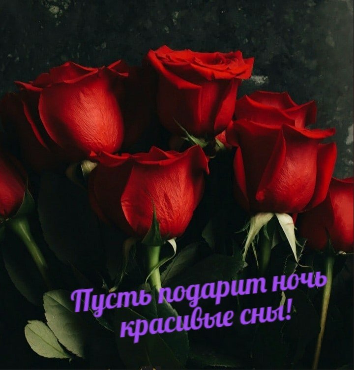   ,    . - 12  2020  21:33