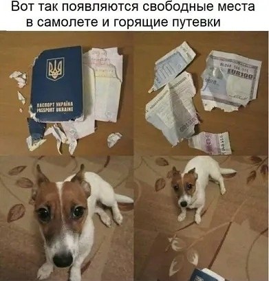,          