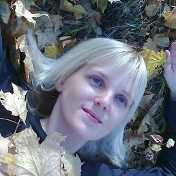 ���������, �������, 40 ���