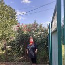 ���� ��������, ������-��-���� - ��������� 20 �������� 2020 � ������ ���� ����������