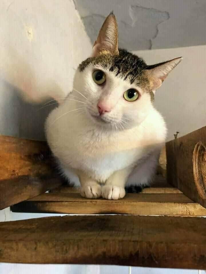   ,   ,      ,      ... - 2