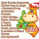 ���� ����, ������, 49 ��� - ��������� 30 ������� 2020 � ������ ���� ����������