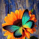 ���� ����, �����-���������, 55 ��� - ��������� 2 ������ 2021 � ������ �butterflies�