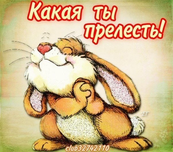   ,    . - 5  2021  10:49 - 7