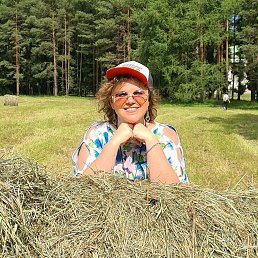 �����, �����-���������, 41 ���