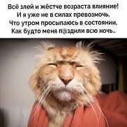 �����, 50 ���, ������������