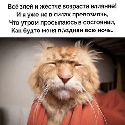 �����, ������������, 50 ���