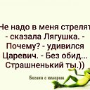 ���� ��������, �����-���������, 48 ��� - ��������� 8 �������� 2020 � ������ ������ ��������