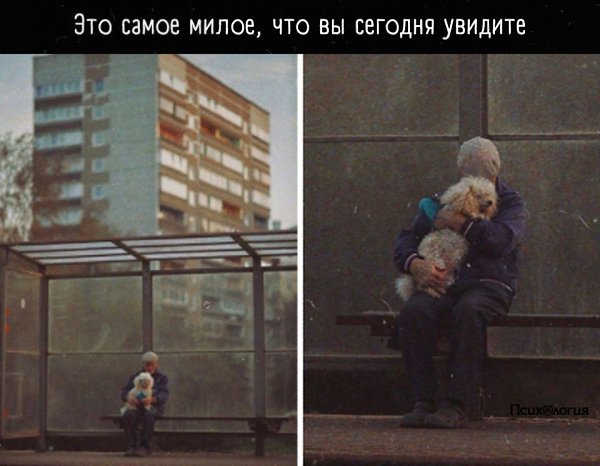 Все чаще обращаю внимание на то, как нежно относятся старики к своим домашним животным ...