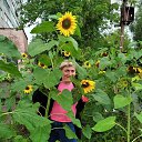 ���� ������, ��������� - ��������� 8 �������� 2020 � ������ ���� ����������