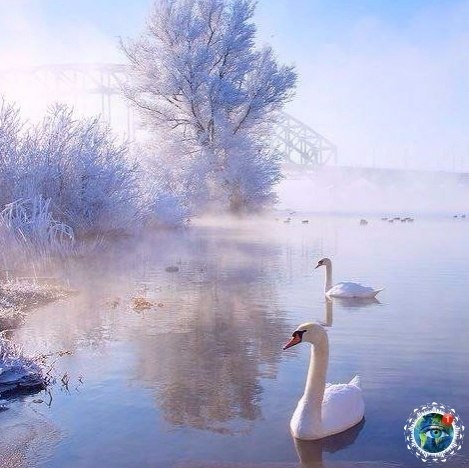 oee . - 5