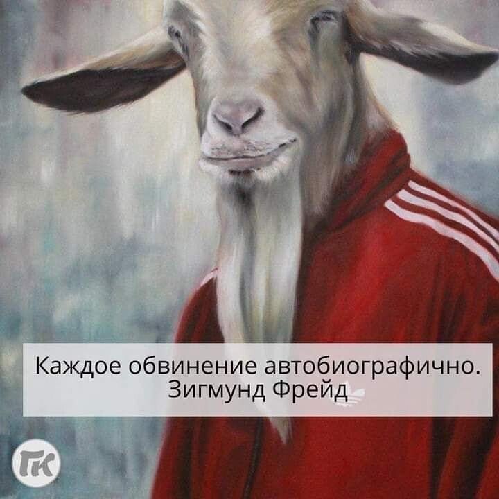  - 18  2021  06:38