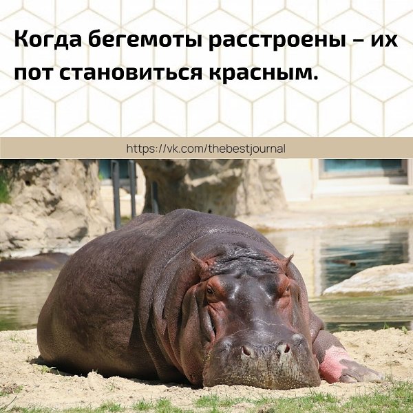 BEST | , ,  - 12  2021  23:40