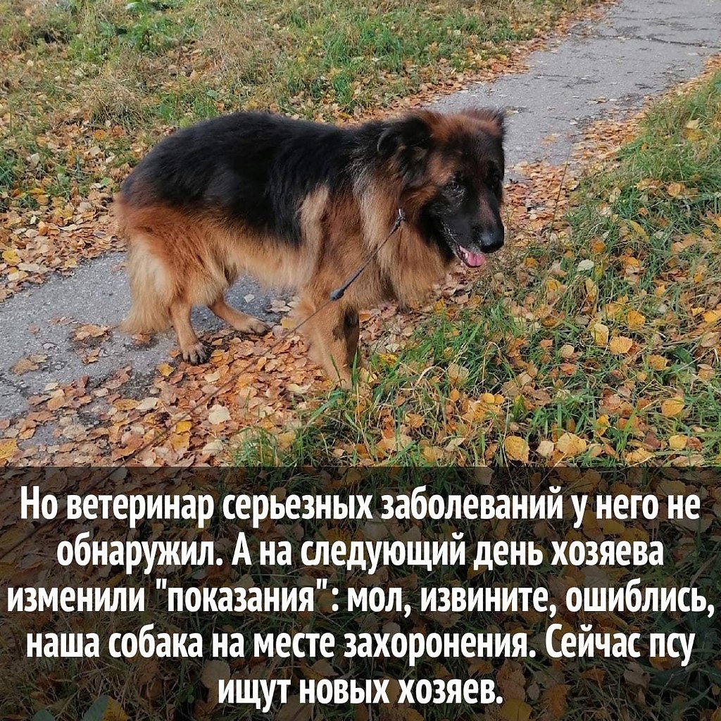   (   - 3