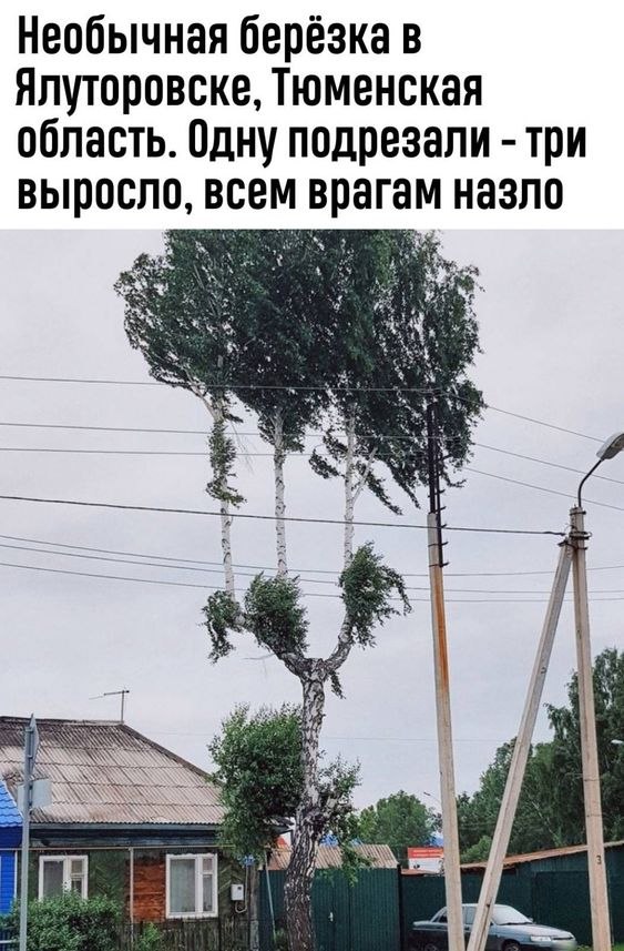 :)