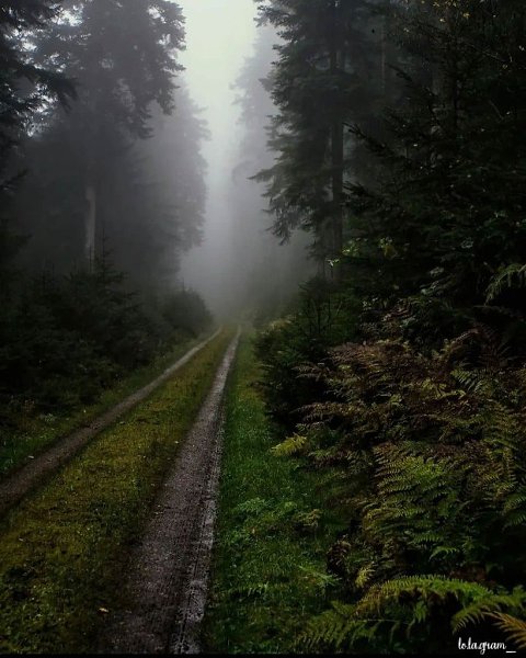 WRLD.ce o ec   
