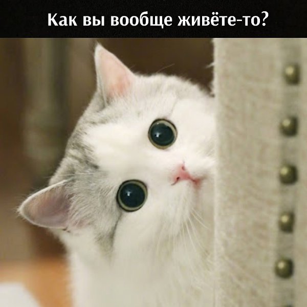       - 28  2021  16:12 - 2