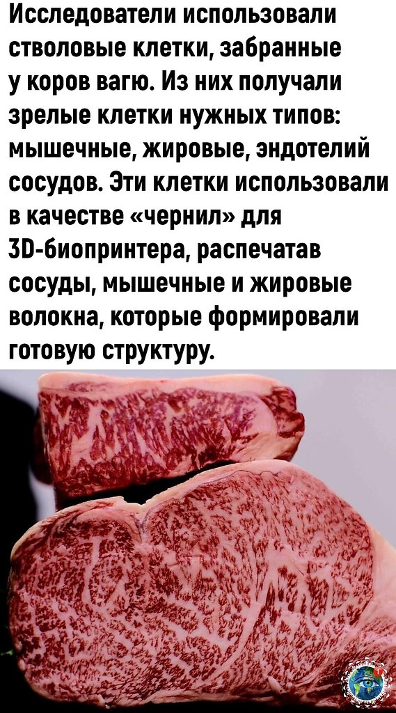 a opo e e oaeo. - 2