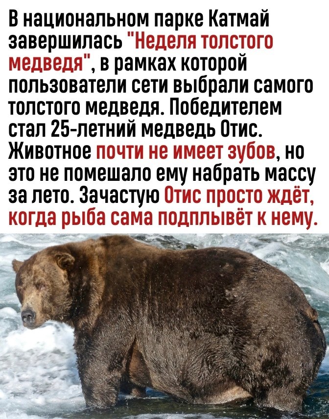 ,    - 2
