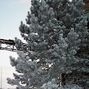  Dsfngvjdvb, , 65  -  14  2021    