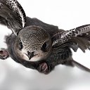 ���� �����, ������, 47 ��� - ��������� 21 ������� 2021 � ������ ���� ����������