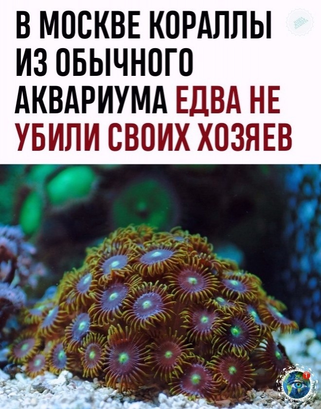  papaa https://fotostrana.ru/away?to=/sl/h8z2atplant